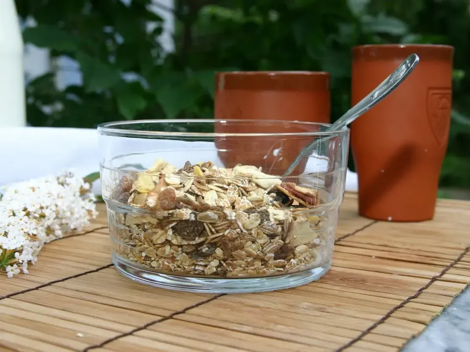 Avena en taza al microondas en 2 minutos
