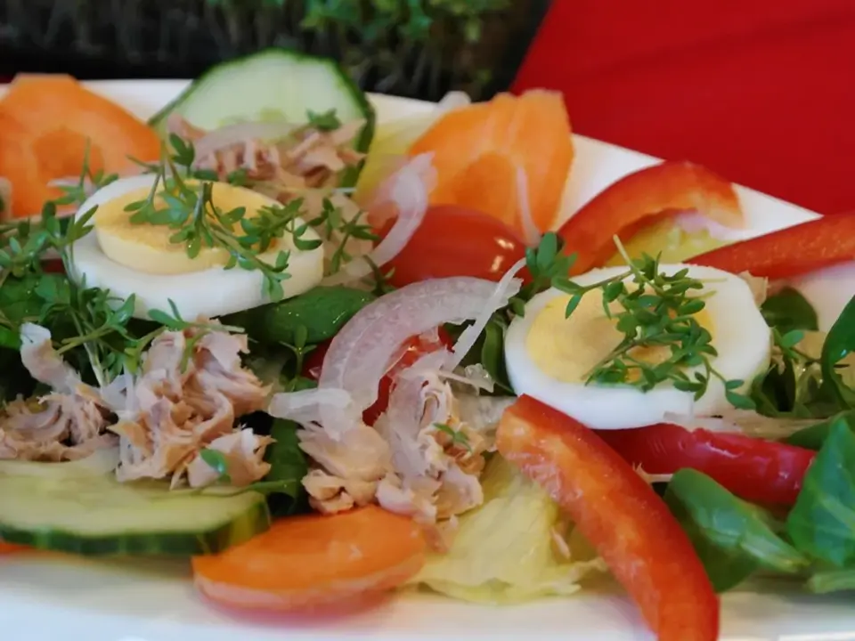 Ensalada de pasta con atún, huevo y maíz