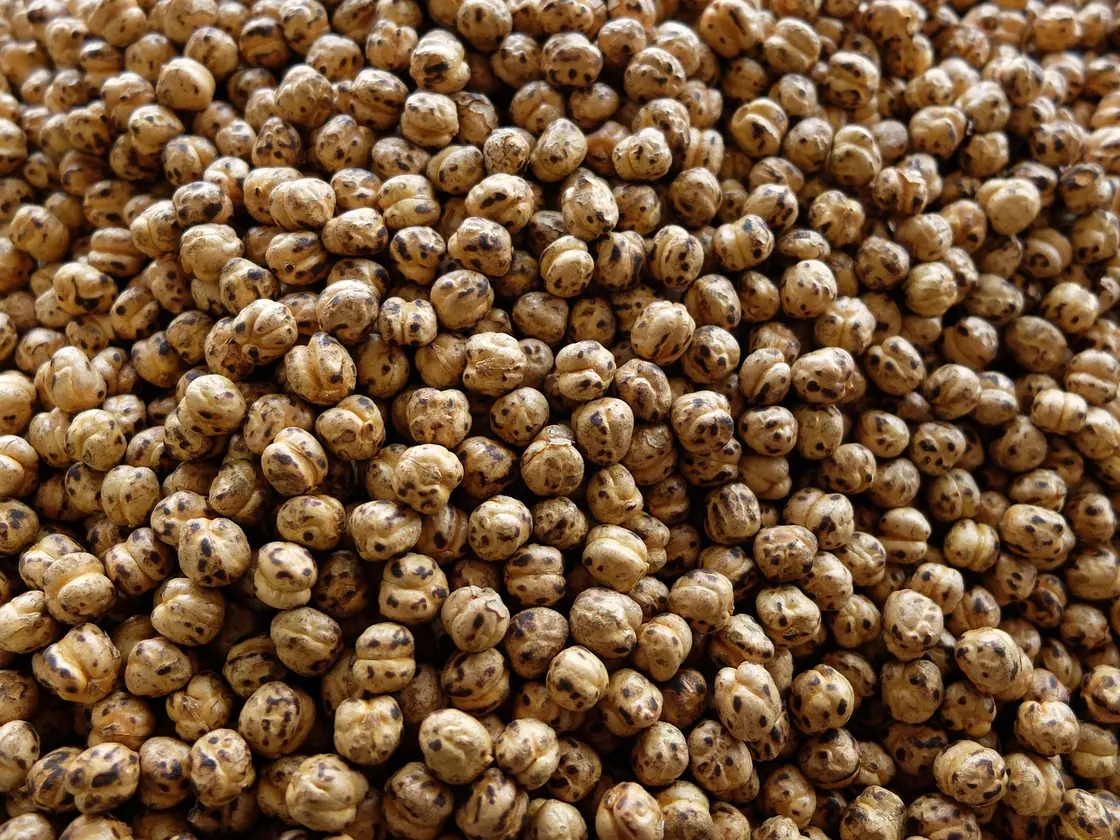 Potaje de vigilia con garbanzos y bacalao