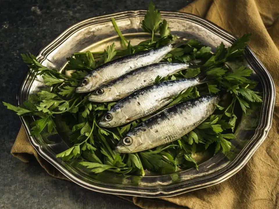 Sardinas en lata al horno con tomate y pan